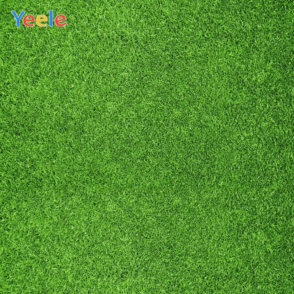 Yeele Grass Foliage Green Screen Baby Child Party Decor Photographic Backdrops Birthday Photography Backgrounds For Photo Studio
Yeele Grass Foliage Green Screen Baby Child Party Decor Photographic Backdrops Birthday Photography Backgrounds For Photo Studio