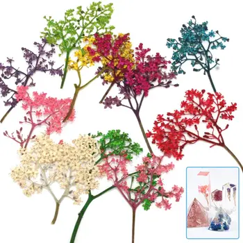 6Pcs Dry Flower DIY Epoxy Resin Tools Jewelry Making Handmade Flowers Phone Case Label UV Decoration Filling Bookmark Crafts
6Pcs Dry Flower DIY Epoxy Resin Tools Jewelry Making Handmade Flowers Phone Case Label UV Decoration Filling Bookmark Crafts