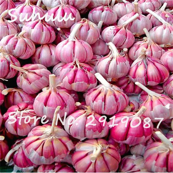 A02527C79C45A244A3491F4EDAD529F5