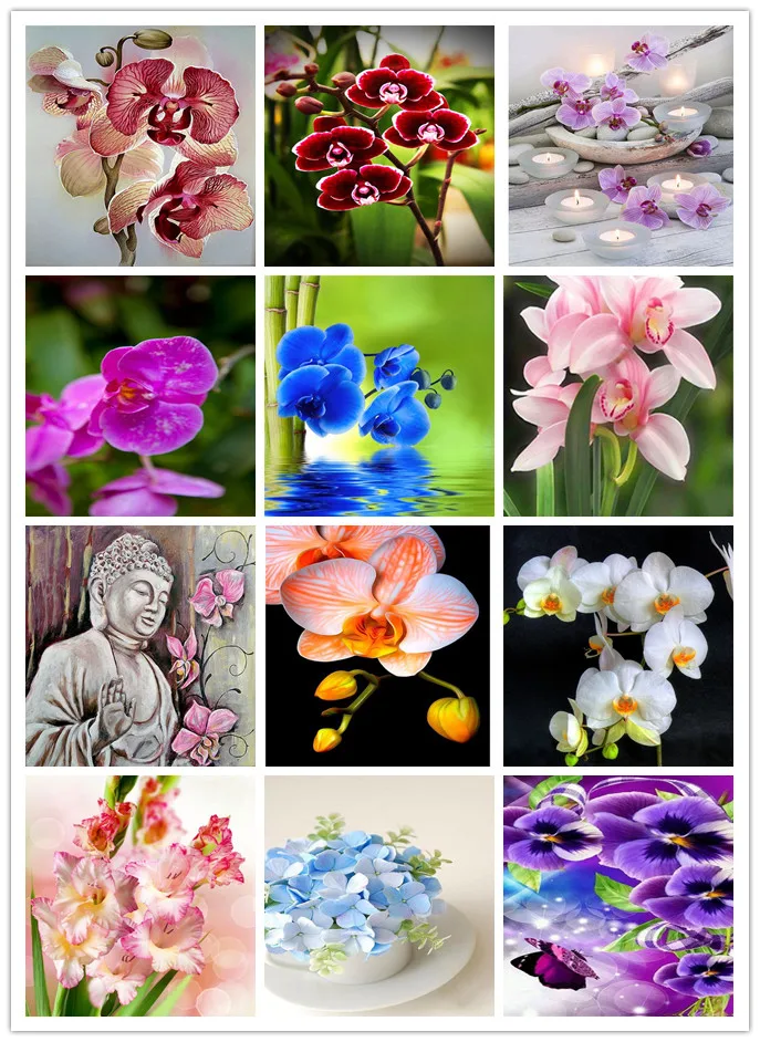 DIY,Diamond Embroidery,Orchid,flowers,Photo Custom 5D Private Custom,Diamond Painting,Cross Stitch,kits,Diamond Mosaic,3d images
DIY,Diamond Embroidery,Orchid,flowers,Photo Custom 5D Private Custom,Diamond Painting,Cross Stitch,kits,Diamond Mosaic,3d images