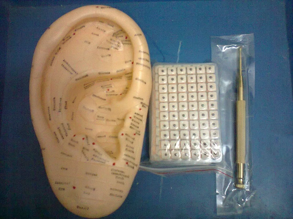 Freeship ear press seed Auricular Vaccaria seed with English ear probe 17cm ear model acupuncture needle ear bead slimming body
Freeship ear press seed Auricular Vaccaria seed with English ear probe 17cm ear model acupuncture needle ear bead slimming body