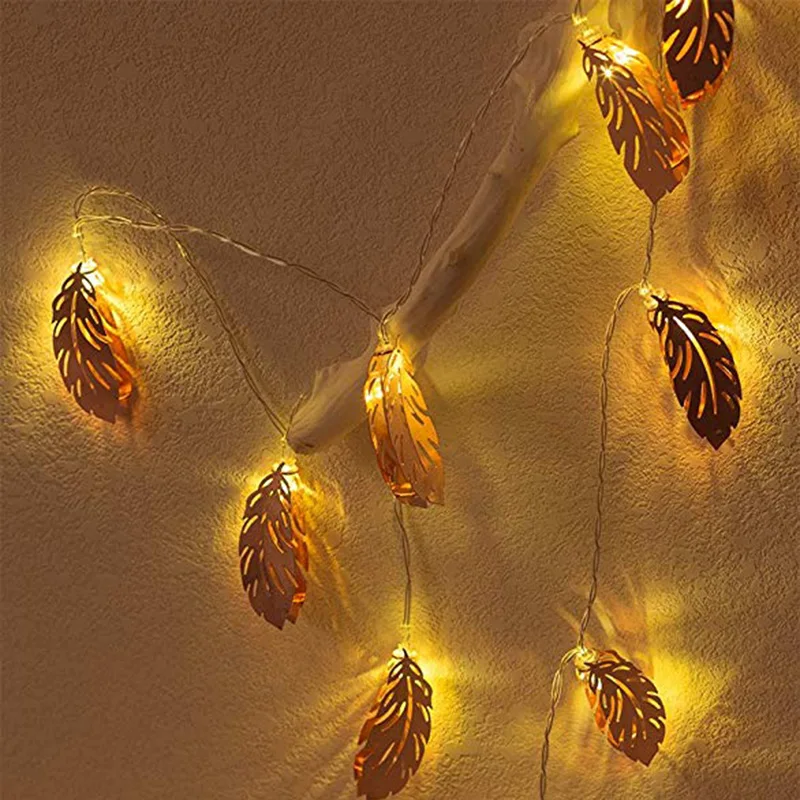 string lights (5)