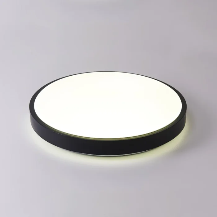 

PZE-959-XDD Intelligent Voice Control LED Ceiling Light with WiFi Smart APP Function