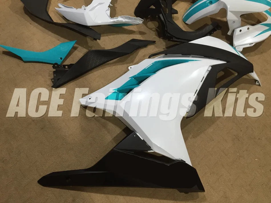 NINJA300 13-14 (388)