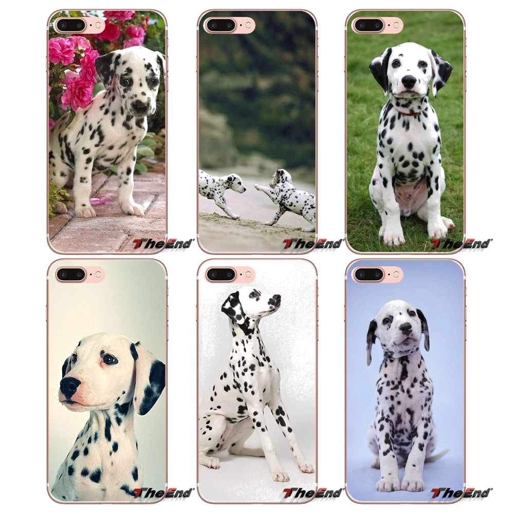 Baby Dalmatian puppies Dog Soft Phone Case For Sony Xperia Z Z1 Z2 Z3 Z5 compact M2 M4 M5 E3 T3 XA Aqua LG G4 G5 G3 G2 Mini
Baby Dalmatian puppies Dog Soft Phone Case For Sony Xperia Z Z1 Z2 Z3 Z5 compact M2 M4 M5 E3 T3 XA Aqua LG G4 G5 G3 G2 Mini