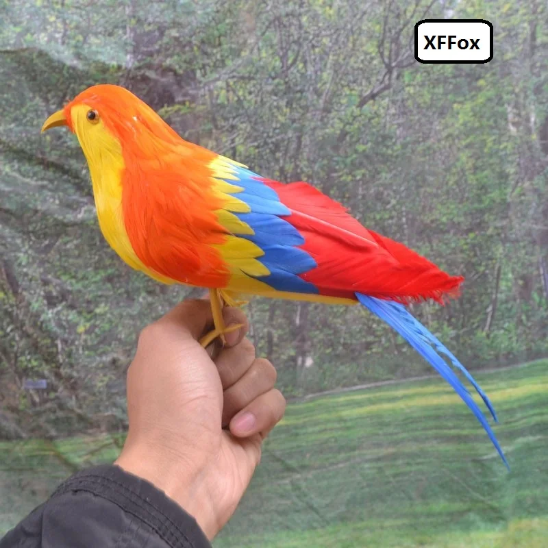 new real life colourful bird model foam&feather simulation bird gift about 30cm xf0782
new real life colourful bird model foam&feather simulation bird gift about 30cm xf0782