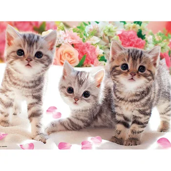 5d diy Full square/Round Diamond Painting Cross Stitch Lovely Cats Rhinestone mosaic Diamond Embroidery Animal Decorative gift
5d diy Full square/Round Diamond Painting Cross Stitch Lovely Cats Rhinestone mosaic Diamond Embroidery Animal Decorative gift