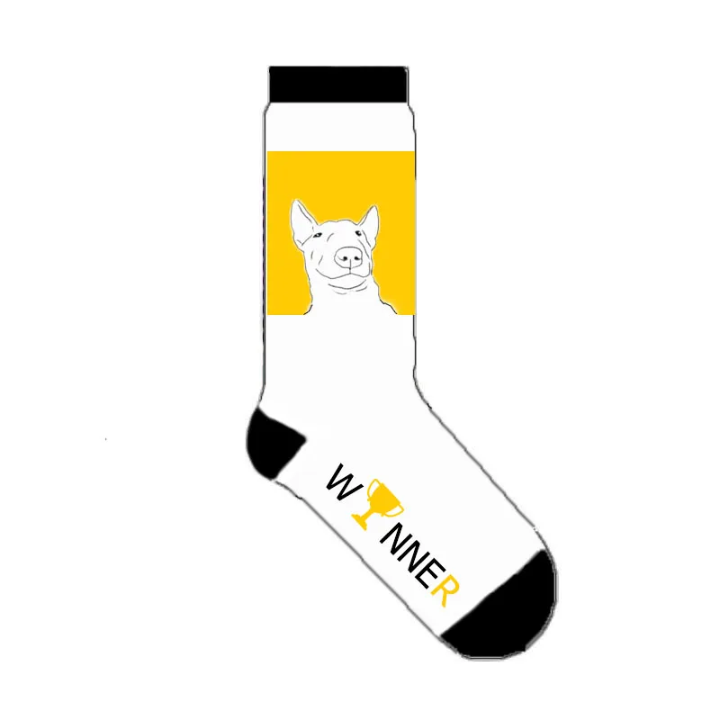 women trophy dog bull terrier socks winner 50 pairs/lot