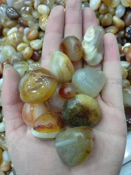 200g Natural Polished Aquatic Plants Agate Crystal Planting Aquarium Fish Tank Materials Decor Stone Craft Madagascar 
200g Natural Polished Aquatic Plants Agate Crystal Planting Aquarium Fish Tank Materials Decor Stone Craft Madagascar