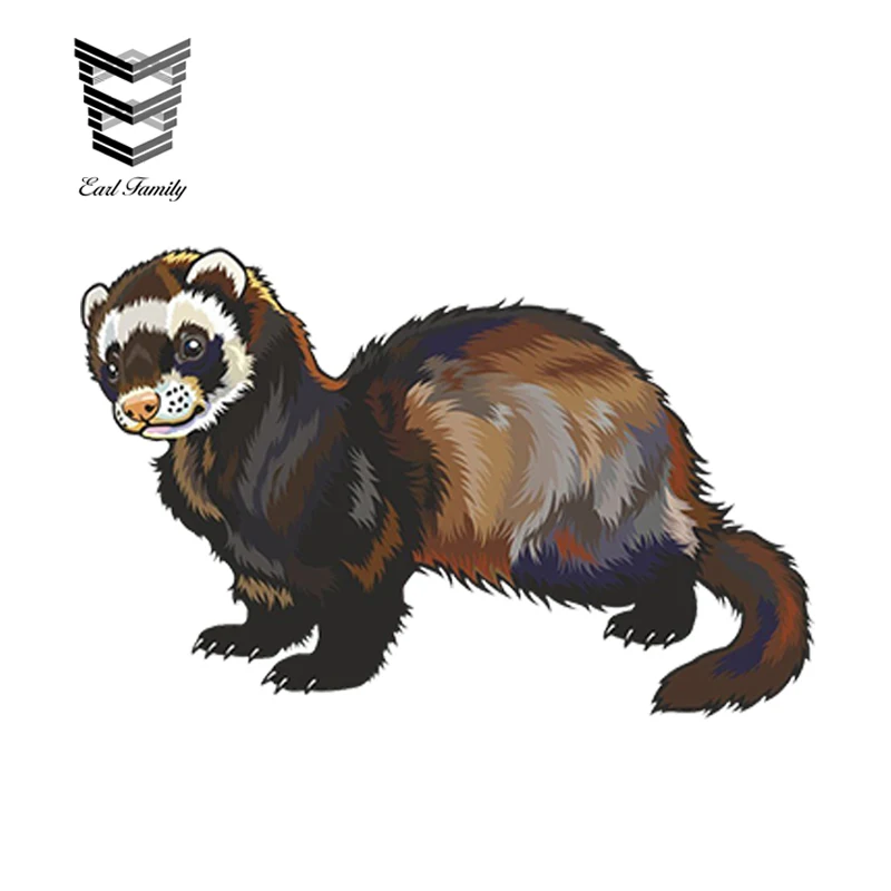 EARLFAMILY 13cm x 6.5cm Car Sticker Cartoon Ferret Vinyl Sticker Laptop Travel Luggage Decal Waterproof Car Styling Accessories
EARLFAMILY 13cm x 6.5cm Car Sticker Cartoon Ferret Vinyl Sticker Laptop Travel Luggage Decal Waterproof Car Styling Accessories