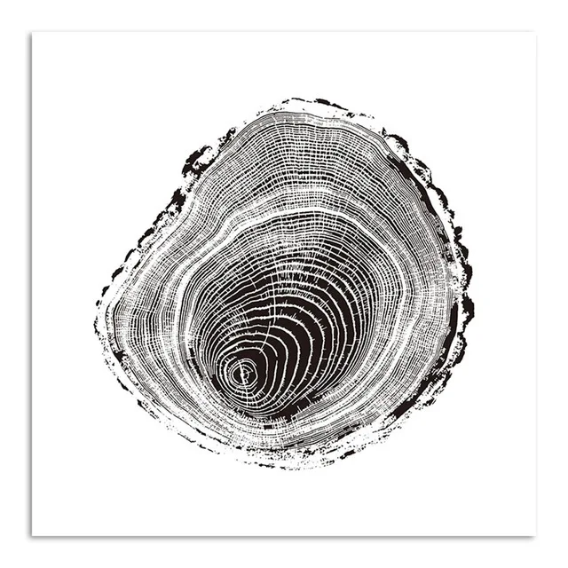 Nordic-Minimalist-Canvas-Decorative-Picture-Black-White-Tree-Ring-Canvas-Print-Painting-Poster-Art-Wall-Decor.jpg_640x640 (2)