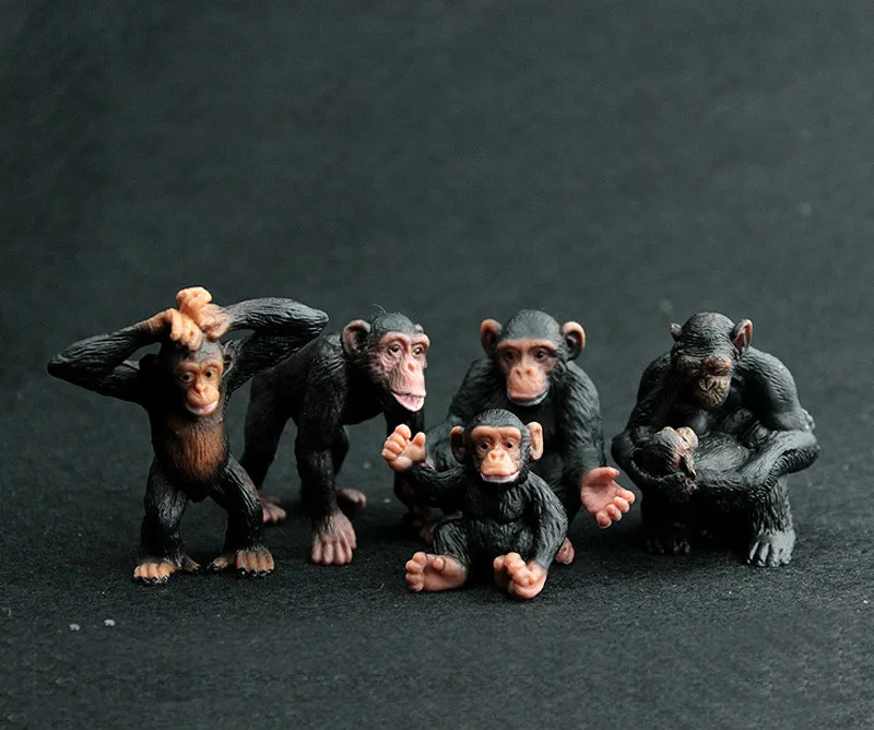 5pcs/set Animal Model Toy Set Action Figures Toys for Collection Chimpanzee Model Kids Learning Educational Toys Children Gifts
5pcs/set Animal Model Toy Set Action Figures Toys for Collection Chimpanzee Model Kids Learning Educational Toys Children Gifts
