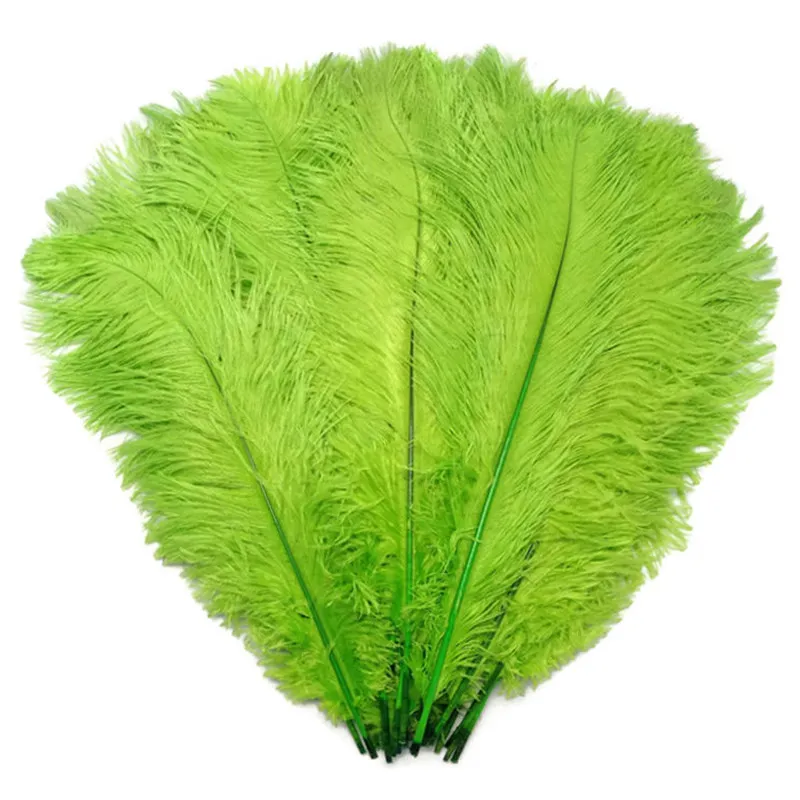 10pcs/lot 15-70CM Apple Green ostrich feather costume wedding decoration feathers supplies Carnival dancer decoration plumage
10pcs/lot 15-70CM Apple Green ostrich feather costume wedding decoration feathers supplies Carnival dancer decoration plumage