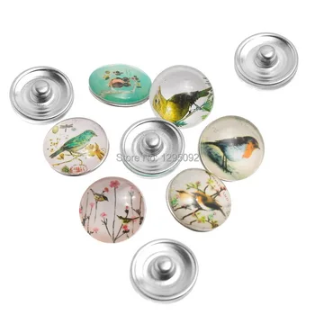 10Pcs Mixed Bird Pattern Glass Cabochon 5.5mm Snap Buttons Fit Bracelets Jewelry Making Charms Wholesale 18mm
10Pcs Mixed Bird Pattern Glass Cabochon 5.5mm Snap Buttons Fit Bracelets Jewelry Making Charms Wholesale 18mm
