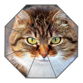 New Arrive Custom cat animal pet Umbrellas Creative Design High Quality Foldable Rain Umbrella
New Arrive Custom cat animal pet Umbrellas Creative Design High Quality Foldable Rain Umbrella