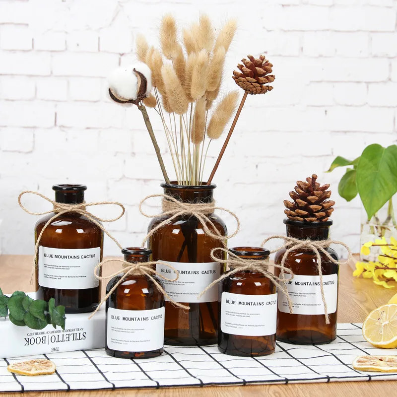 Nordic glass vase home creative jewelry ornaments transparent dried flowers hydroponic small brown bottle vase home decoration
Nordic glass vase home creative jewelry ornaments transparent dried flowers hydroponic small brown bottle vase home decoration