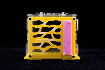 1PCS Ant Nest Ant Workshop Akli Nest Gypsum Nest Halloween Gift Vertical Nest City A4 Ants Farm House
1PCS Ant Nest Ant Workshop Akli Nest Gypsum Nest Halloween Gift Vertical Nest City A4 Ants Farm House