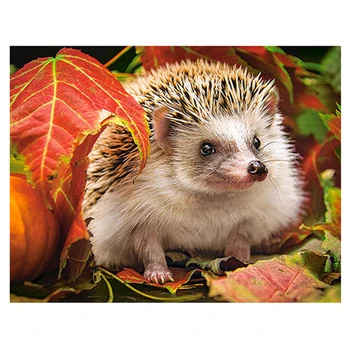 Wall Sticker Diy 5D Diamond Mosaic hedgehog animal Diamond Painting Cross Stitch Kits square round Diamond Embroidery Handmade
Wall Sticker Diy 5D Diamond Mosaic hedgehog animal Diamond Painting Cross Stitch Kits square round Diamond Embroidery Handmade