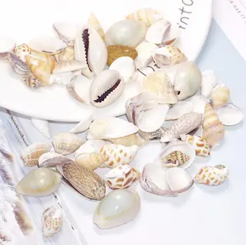 150g 1-4cm Shell Conch Sea Ocean Style For Photograph Home Wedding Party Hotel Venue Decoration Epoxy Filler Craft DIY
150g 1-4cm Shell Conch Sea Ocean Style For Photograph Home Wedding Party Hotel Venue Decoration Epoxy Filler Craft DIY