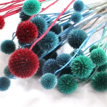 10Pcs dDried Natural Flower Bouquets Blue Thorn Fruit Bouquets Arrangement Accessories Home Hotel Wedding Party Decoration
10Pcs dDried Natural Flower Bouquets Blue Thorn Fruit Bouquets Arrangement Accessories Home Hotel Wedding Party Decoration