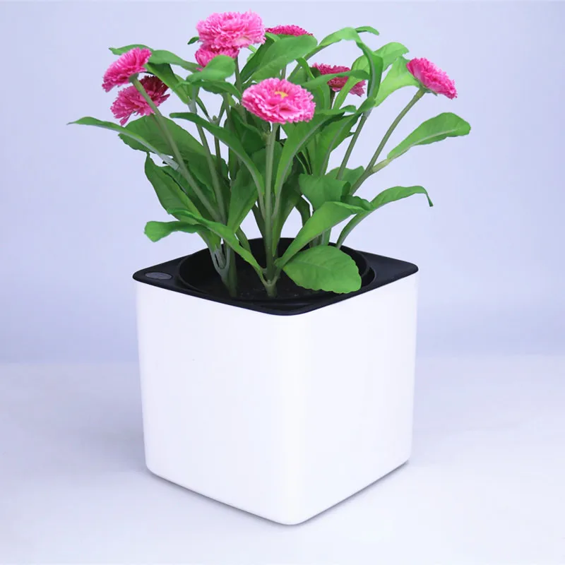 Four colour Margic square lazy self absorption water creative personalized porcelain plastic flower pot for graden plant
Four colour Margic square lazy self absorption water creative personalized porcelain plastic flower pot for graden plant