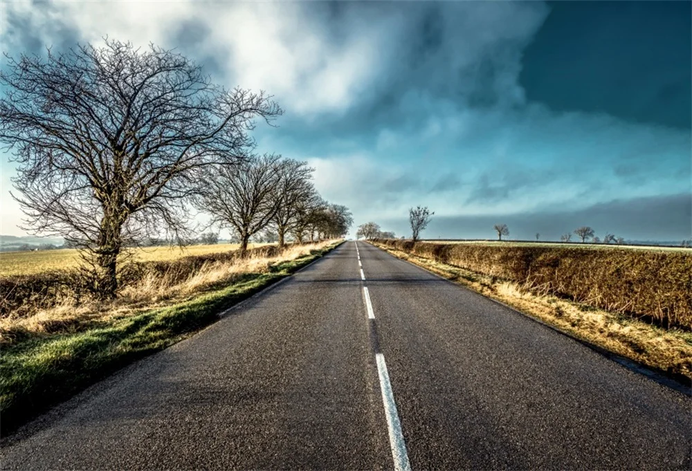 Laeacco Highway Old Tree Grass Wild Children Scenic Photographic Backgrounds Customized Photography Backdrops For Photo Studio
Laeacco Highway Old Tree Grass Wild Children Scenic Photographic Backgrounds Customized Photography Backdrops For Photo Studio