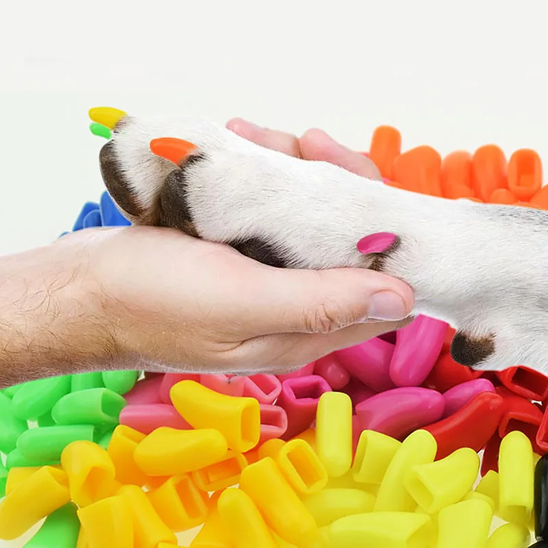 20pcs Soft Pet Cat Nail Caps / Cat Paw Claw / Pet Nail Protector/Cat Nail Cover with free Glue and Applictor
20pcs Soft Pet Cat Nail Caps / Cat Paw Claw / Pet Nail Protector/Cat Nail Cover with free Glue and Applictor