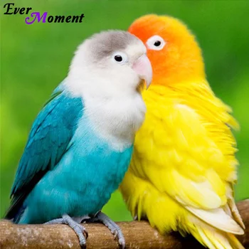 DIY 5D Diamond Embroidery Animal Cross Stitch Parrot Love Birds Square Full Diamond Mosaic Picture Pasted Needlework ASF063
DIY 5D Diamond Embroidery Animal Cross Stitch Parrot Love Birds Square Full Diamond Mosaic Picture Pasted Needlework ASF063