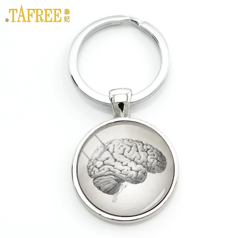 TAFREE Anatomical Brain Keychain Vintage Cool Trendy Key Chain Keychain Car Key Key Ring Keyholder Men Women Jewelry Gifts KC236
TAFREE Anatomical Brain Keychain Vintage Cool Trendy Key Chain Keychain Car Key Key Ring Keyholder Men Women Jewelry Gifts KC236