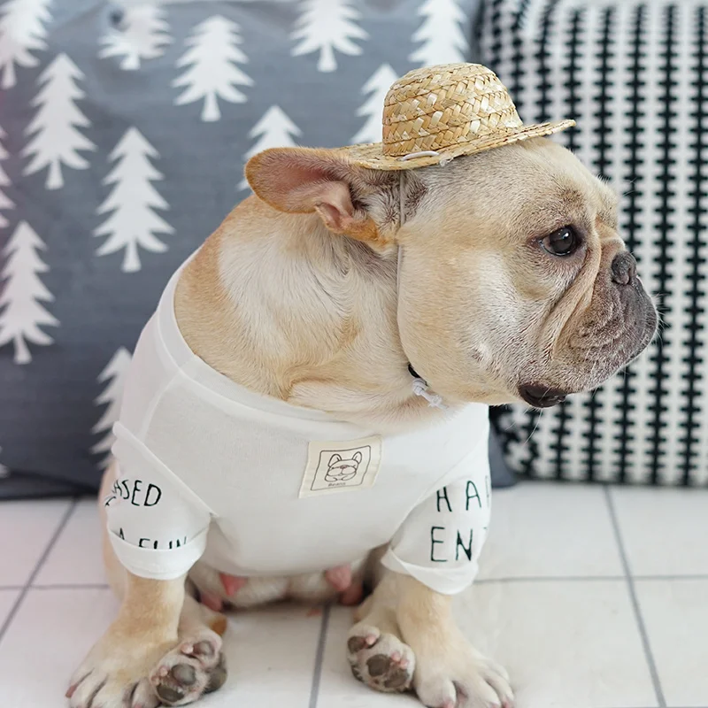 Luxury Straw Knitting Pet Hats Summer Grooming Accessories Little Small Animals Cats Dogs Cap Supplies For Chihuahua Yorkshire
Luxury Straw Knitting Pet Hats Summer Grooming Accessories Little Small Animals Cats Dogs Cap Supplies For Chihuahua Yorkshire
