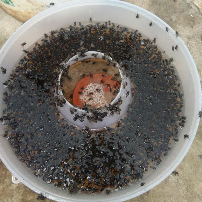 Fly Flies Killer Trap Zapper Transparent Durable Effective Catcher Recycled Continuously MJJ88
Fly Flies Killer Trap Zapper Transparent Durable Effective Catcher Recycled Continuously MJJ88