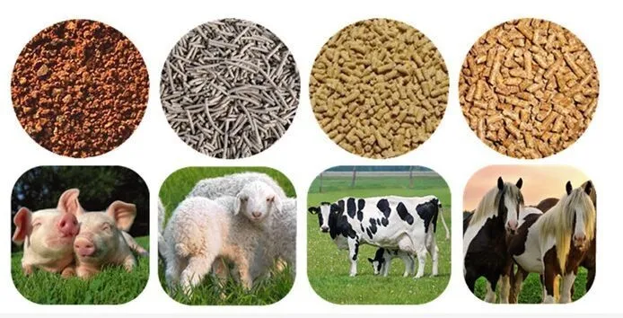 HTB1Om0hLFXXXXasXpXXq6xXFXXXC