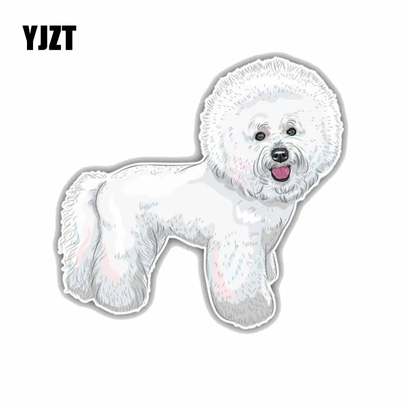 YJZT 14*13.1CM Bichon Frise Breed Dog Car Decoration Bumper Window Sticker C1-4275
YJZT 14*13.1CM Bichon Frise Breed Dog Car Decoration Bumper Window Sticker C1-4275