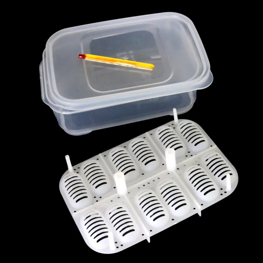 12 Holes Reptile E-gg Incubation Tray Gecko Lizard Snake E-ggs Incubation Tool Insect keeping box 6 12 Holes Reptile E-gg Incubation Tray Gecko Lizard Snake E-ggs Incubation Tool Insect keeping box 6