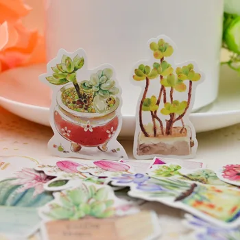 36pcs Japanese Style Fresh Cactus and Perfume Bottle Sticker Creative cute Self-made flowers paper Stickers/ Hand book Diary
36pcs Japanese Style Fresh Cactus and Perfume Bottle Sticker Creative cute Self-made flowers paper Stickers/ Hand book Diary