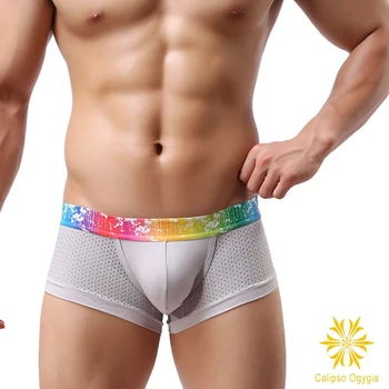 New Model Mesh Breathable Men's Sexy Cotton Underwear Boxer Underpants Size Free Shipping Wholesale
New Model Mesh Breathable Men's Sexy Cotton Underwear Boxer Underpants Size Free Shipping Wholesale
