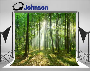 woodland forest sunlight backgrounds Vinyl cloth High quality Computer print wall backdrops
woodland forest sunlight backgrounds Vinyl cloth High quality Computer print wall backdrops