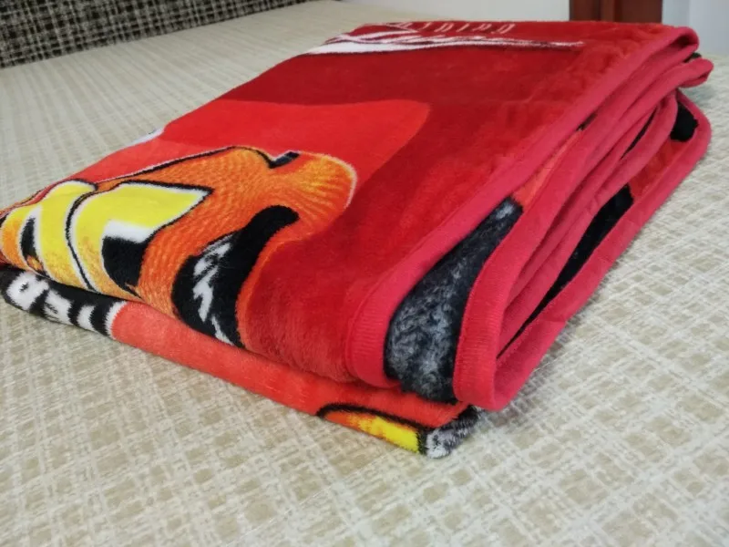 conew_mc queen blanket (8)