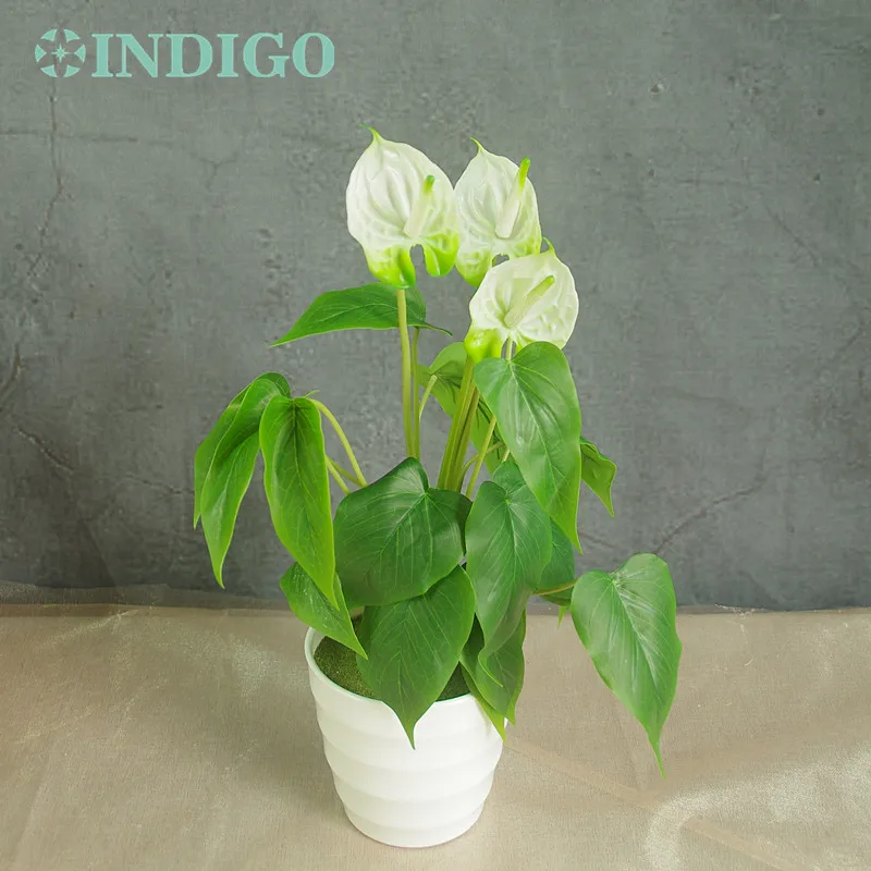 Anthurium Bouquet - 18 Leaves 3 Flower Latex Anthurium Calla Real Touch Wedding Flower Table Christmas Outdoor Flower Wholesale
Anthurium Bouquet - 18 Leaves 3 Flower Latex Anthurium Calla Real Touch Wedding Flower Table Christmas Outdoor Flower Wholesale