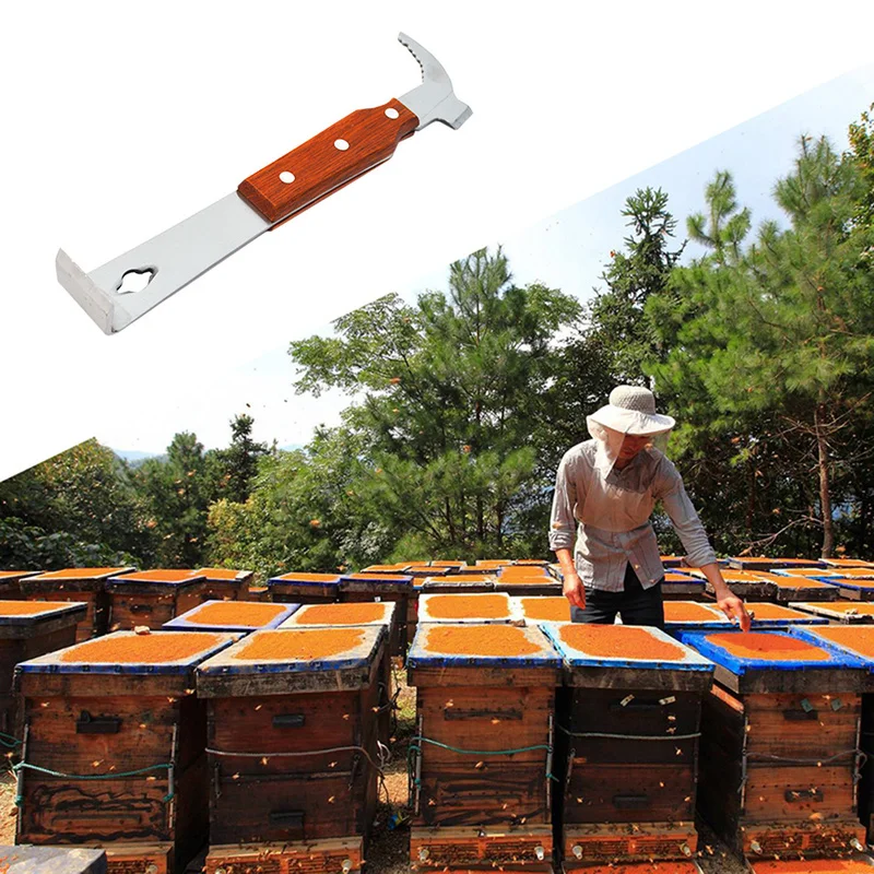Free Shipping 1 Pc Bee Tools Cut Honey Knife Beekeeping Necessary Hive Bee Equipment Scraper Wholesale Bee Take Honey Tools
Free Shipping 1 Pc Bee Tools Cut Honey Knife Beekeeping Necessary Hive Bee Equipment Scraper Wholesale Bee Take Honey Tools