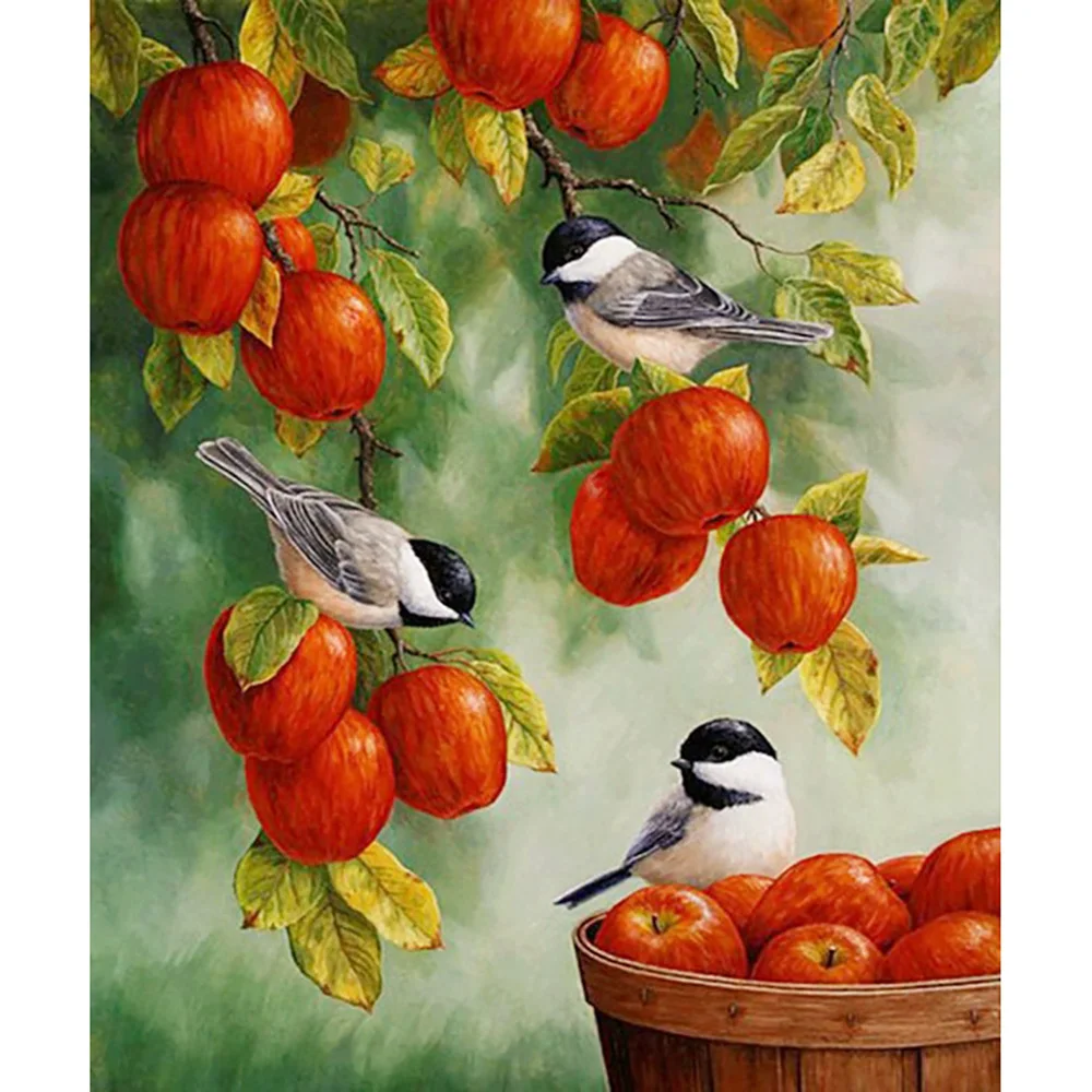 DIY 5D Diamond Painting Red Apples & Birds Full Square Diamond Mosaic Embroidery Sale Picture Of Rhinestones For Festival Gifts
DIY 5D Diamond Painting Red Apples & Birds Full Square Diamond Mosaic Embroidery Sale Picture Of Rhinestones For Festival Gifts