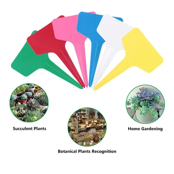 50pcs/lot Plastic Plant Labels Mark T-type Plant Flower Tag Garden Ornaments Gardening Label Nursery Flower Tag 6 Color Reusable 
50pcs/lot Plastic Plant Labels Mark T-type Plant Flower Tag Garden Ornaments Gardening Label Nursery Flower Tag 6 Color Reusable