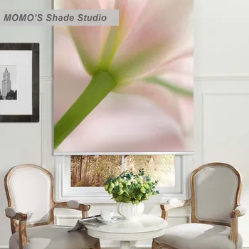 MOMO Blackout Painting Window Curtains Roller Shades Blinds Thermal Insulated Fabric Custom Size,PRB set126
MOMO Blackout Painting Window Curtains Roller Shades Blinds Thermal Insulated Fabric Custom Size,PRB set126