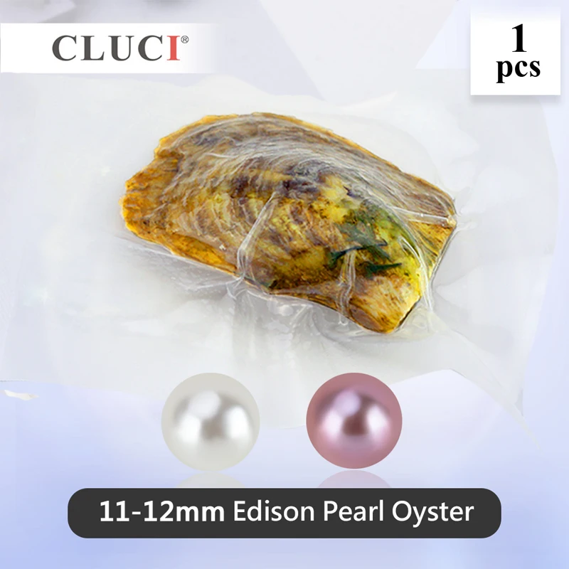 

CLUCI 1 Pcs 11-12mm Big Edison Pearls in Oysters Round Single Packaged Genuine Edison Pearl Beads Edison Pearl Oyster