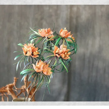 Two Pieces Fritillary Flower Handmade Natural Plant Combination With Long Rod Natural Flower Living Room European Style Flower
Two Pieces Fritillary Flower Handmade Natural Plant Combination With Long Rod Natural Flower Living Room European Style Flower