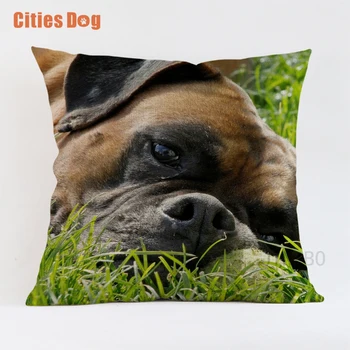 Animals Boxer Dog Photo pillow decorative cushion covers for sofa pillow case 45*45 Boxing lion dogs pillowcase cushions decor
Animals Boxer Dog Photo pillow decorative cushion covers for sofa pillow case 45*45 Boxing lion dogs pillowcase cushions decor