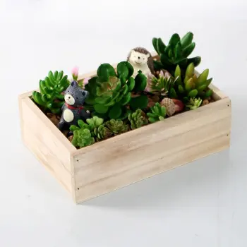 Special offer Zakka groceries wooden desk box sundries sorting box wooden box pots succulents
Special offer Zakka groceries wooden desk box sundries sorting box wooden box pots succulents
