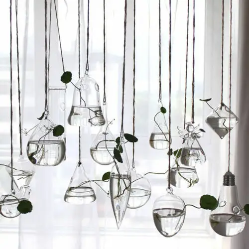 Clear Glass Flower Plant Stand Hanging Vase Ball Terrarium Container Home Decor Vase Decoration Home
Clear Glass Flower Plant Stand Hanging Vase Ball Terrarium Container Home Decor Vase Decoration Home