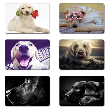 Labrador Retriever Romance Life Rose Cool Designs Nature Rubber Table Mouse Pad Laptop Computer Enclosure Mousepad Mat
Labrador Retriever Romance Life Rose Cool Designs Nature Rubber Table Mouse Pad Laptop Computer Enclosure Mousepad Mat