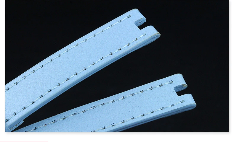 2923614118_1417998351